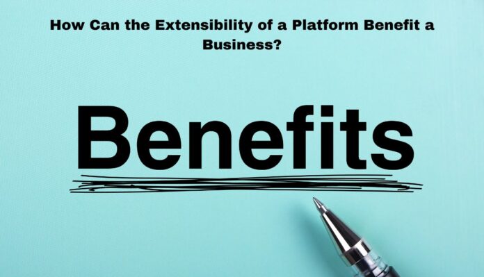 How Can the Extensibility of a Platform Benefit a Business?