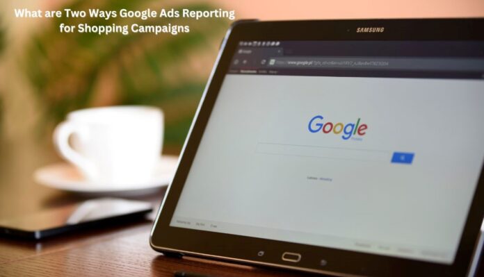 What are Two Ways Google Ads Reporting for Shopping Campaigns